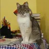Отзыв от Эмма Артемова